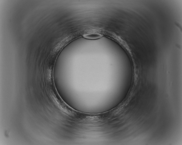 X0000100840057200807111201