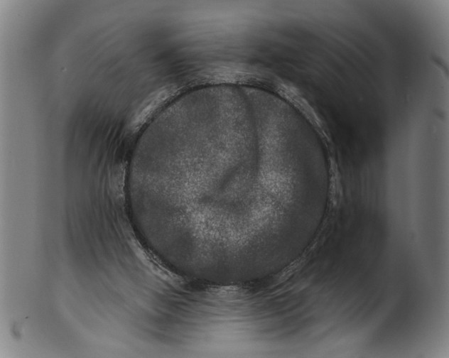 X0000100840058200807111201