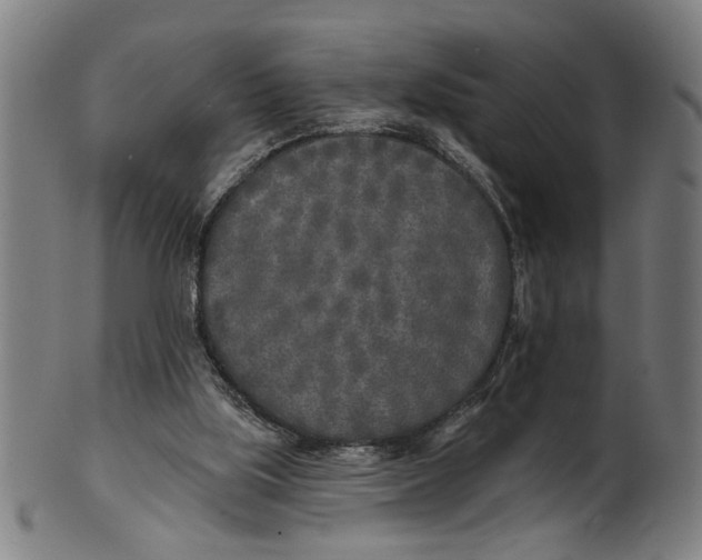 X0000100840059200807111201