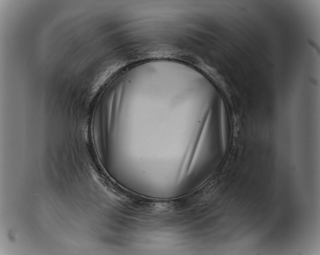 X0000100840060200807111201