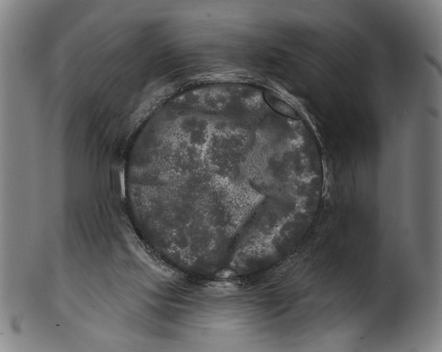 X0000100840061200807111201