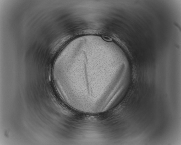 X0000100840062200807111201