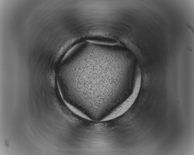 X0000100840064200807111201