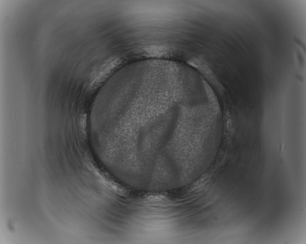 X0000100840066200807111201