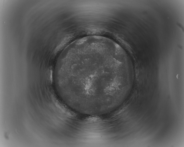 X0000100840067200807111201