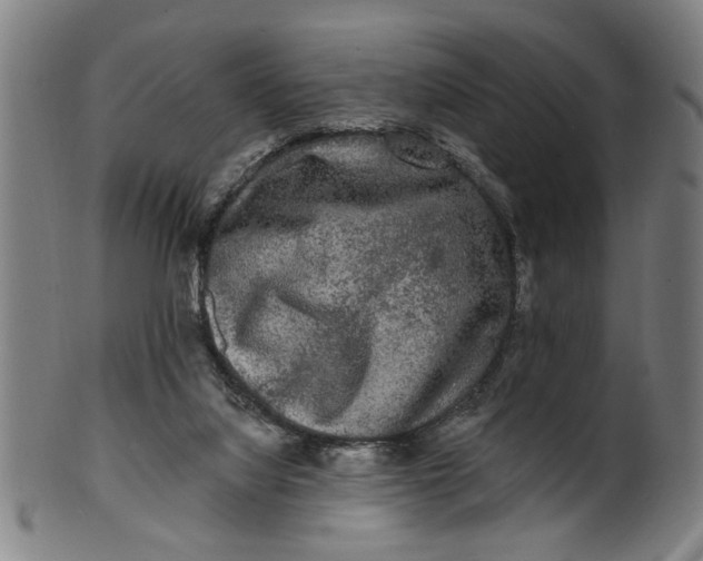 X0000100840068200807111201