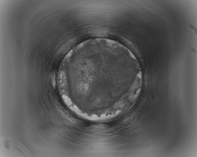 X0000100840069200807111201