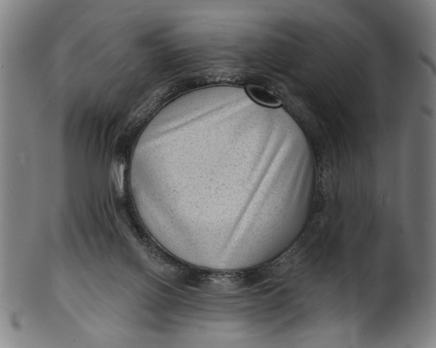 X0000100840070200807111201