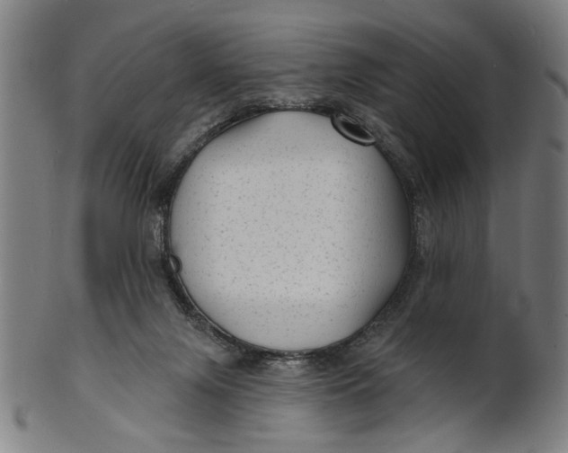 X0000100840071200807111201