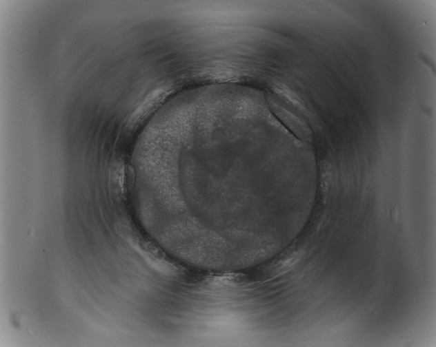 X0000100840072200807111201