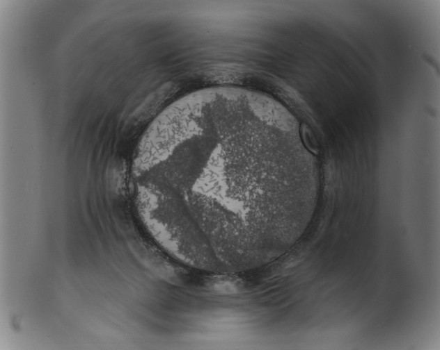 X0000100840073200807111201