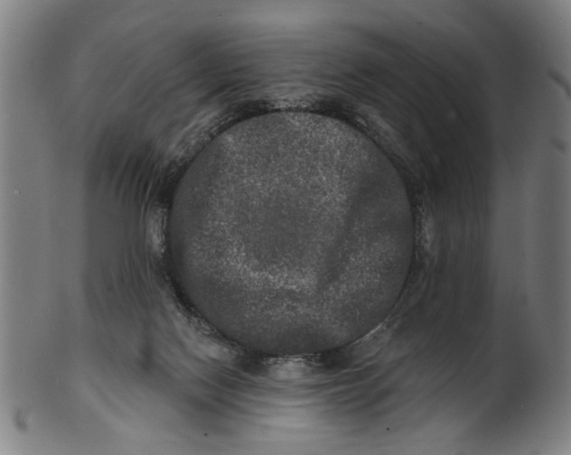 X0000100840074200807111201