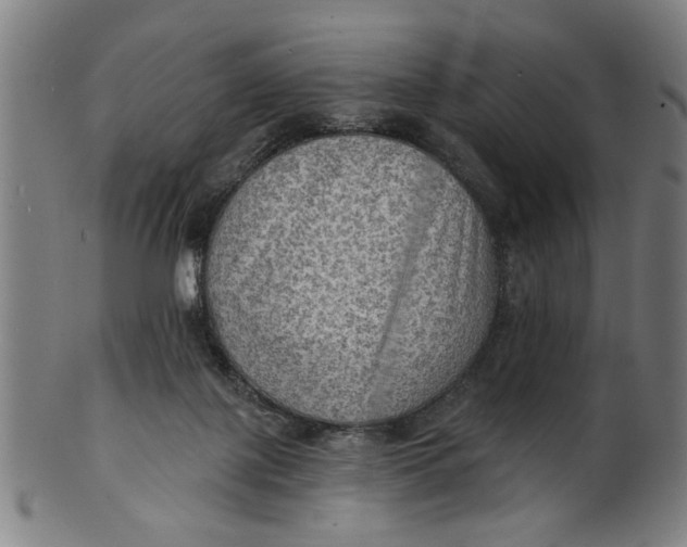 X0000100840075200807111201