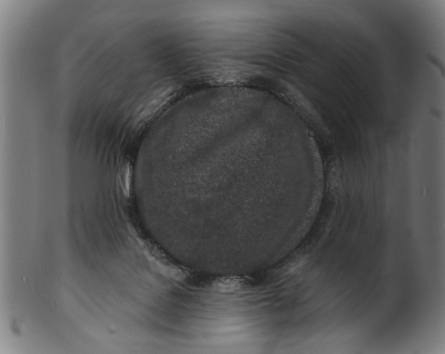 X0000100840076200807111201