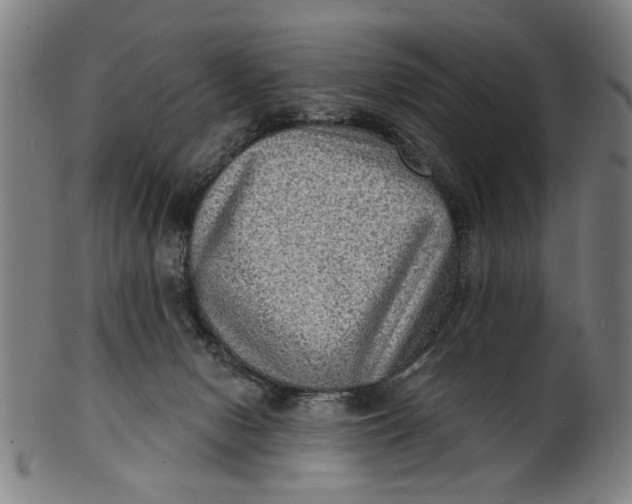 X0000100840078200807111202