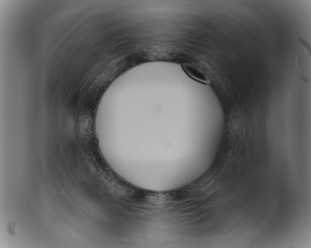 X0000100840079200807111202