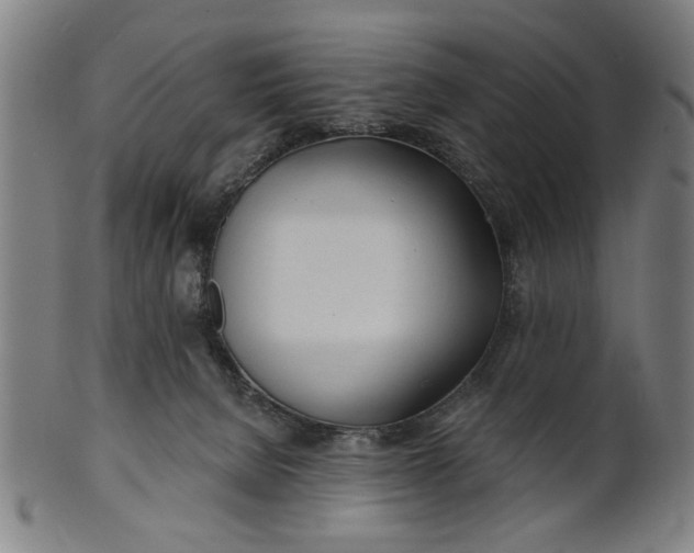 X0000100840080200807111202