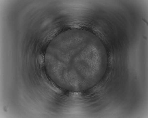 X0000100840081200807111202