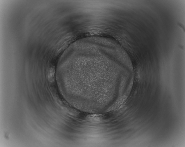 X0000100840082200807111202