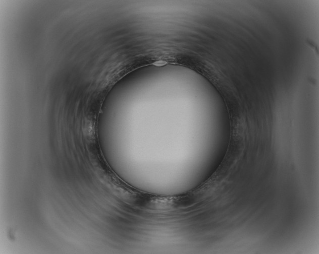 X0000100840084200807111202