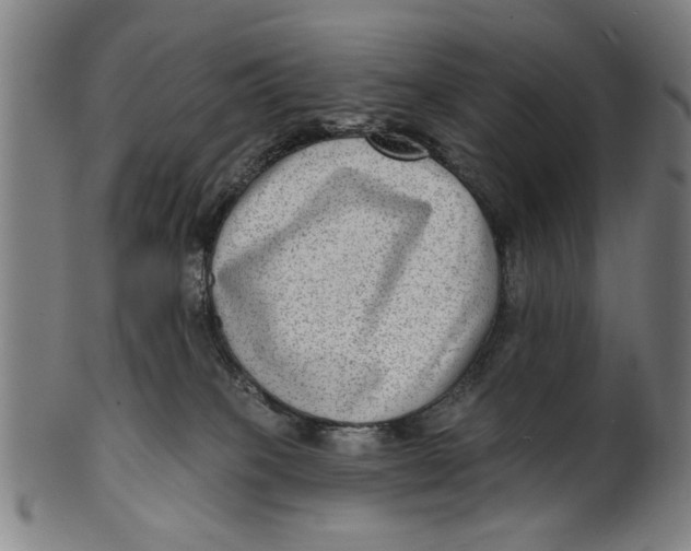 X0000100840085200807111202