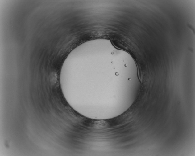 X0000100840087200807111202