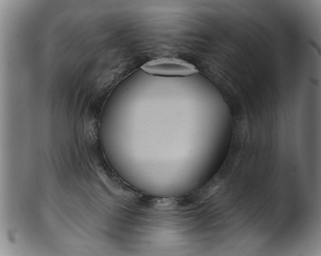 X0000100840088200807111202