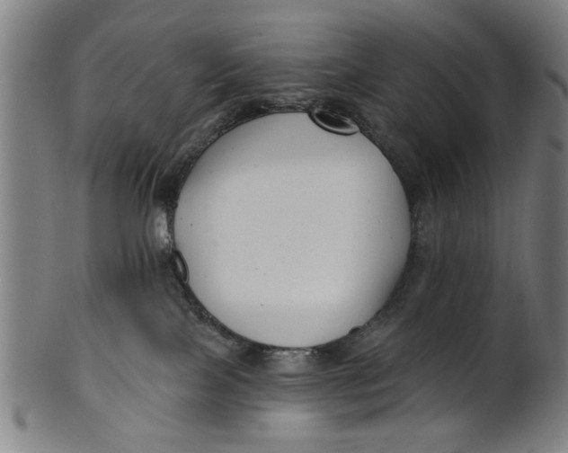 X0000100840089200807111202