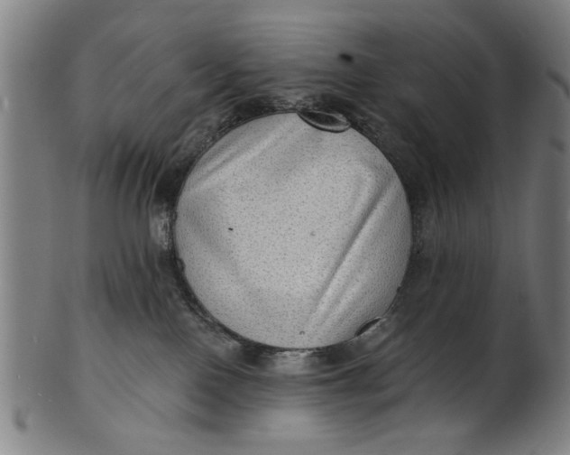 X0000100840090200807111202