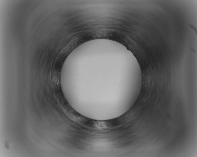 X0000100840091200807111202