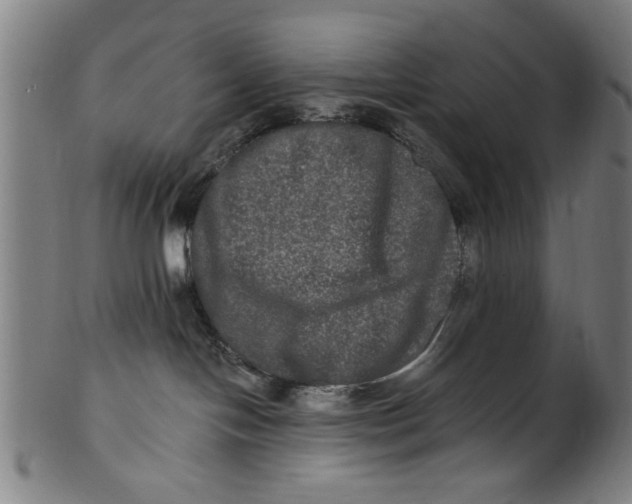 X0000100840094200807111202