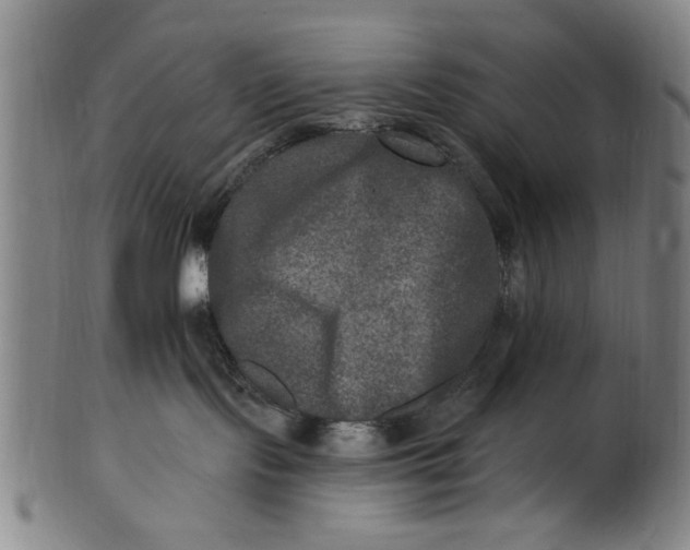 X0000100840095200807111202