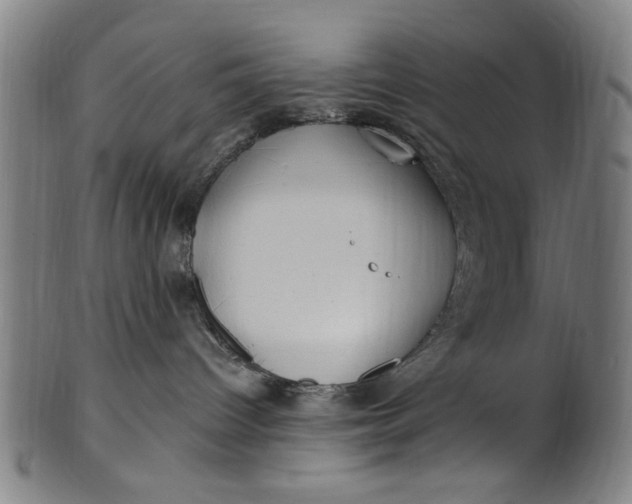 X0000100840096200807111202