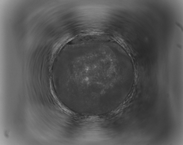 X0000100840097200807111201