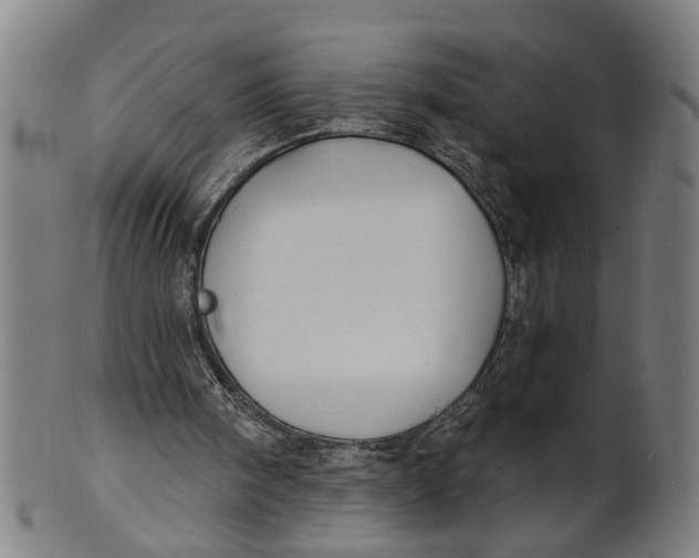 X0000100840098200807111201