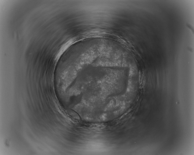 X0000100840099200807111201