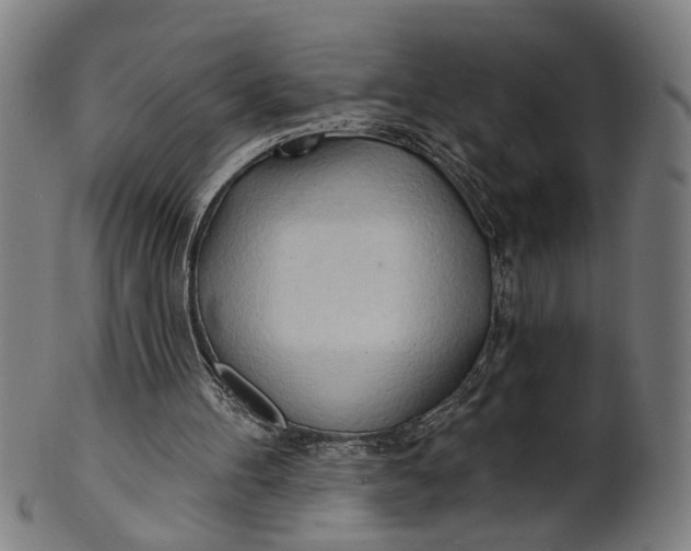 X0000100840100200807111201