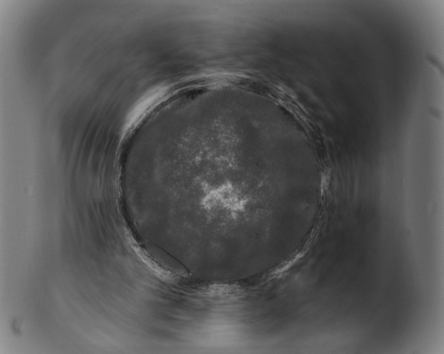 X0000100840101200807111201