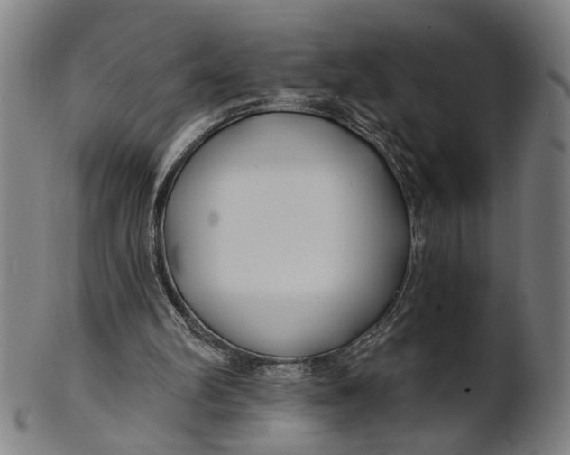 X0000100840102200807111201