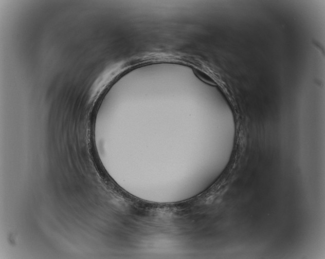 X0000100840103200807111201