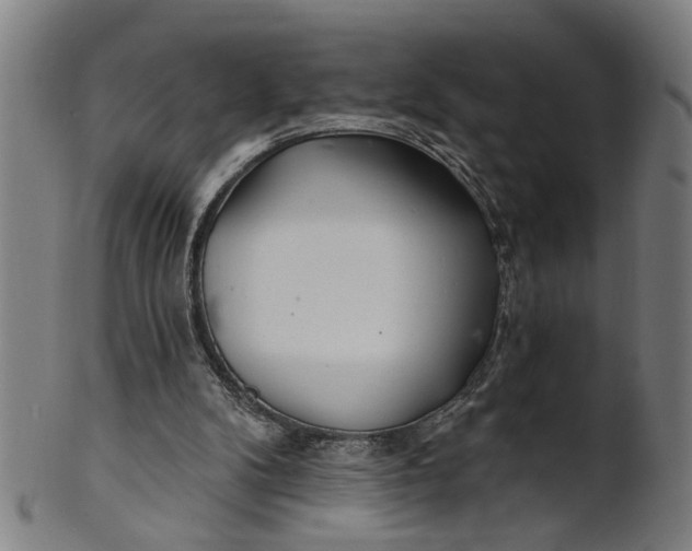 X0000100840104200807111201