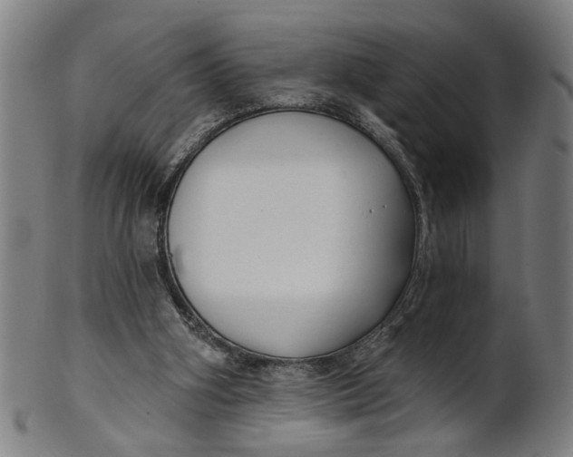 X0000100840106200807111201