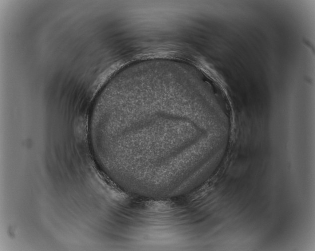 X0000100840107200807111201