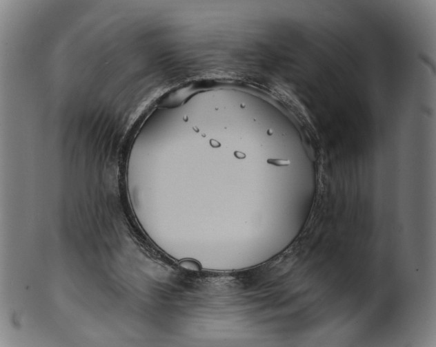 X0000100840108200807111201