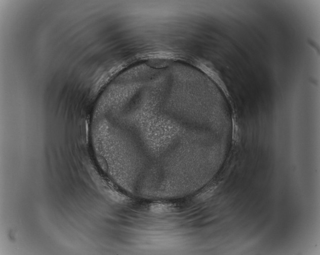 X0000100840109200807111201