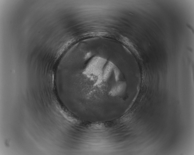 X0000100840110200807111201