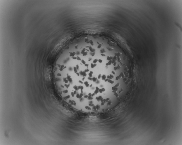 X0000100840114200807111201