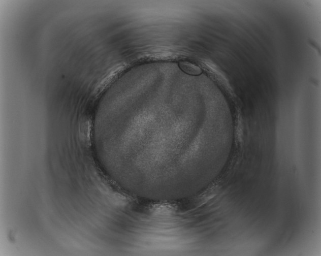 X0000100840115200807111201