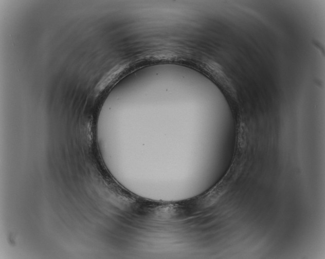 X0000100840116200807111201