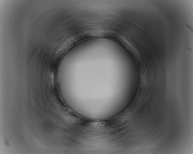 X0000100840117200807111201